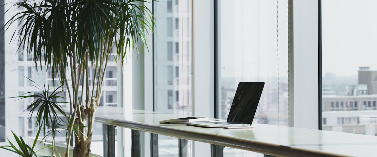 Modern bright office space